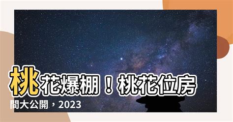 房間桃花位2023 祥雲堂